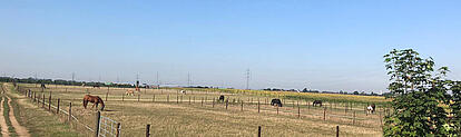 Grenzhof Weiden1420x420