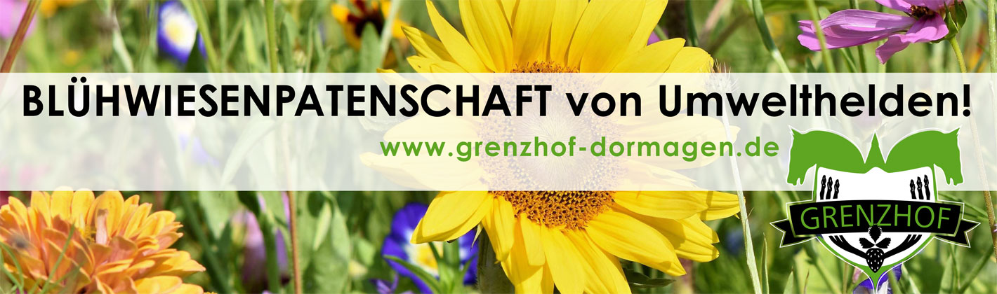 Slider Blumenwiese Umweltheld