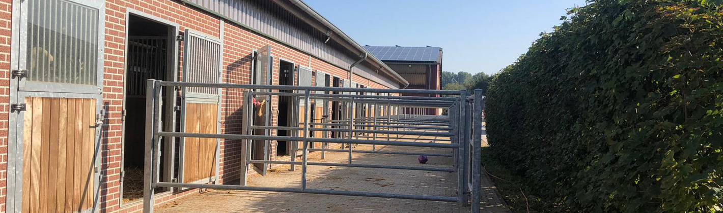 Grenzhof Paddockboxen1420x420