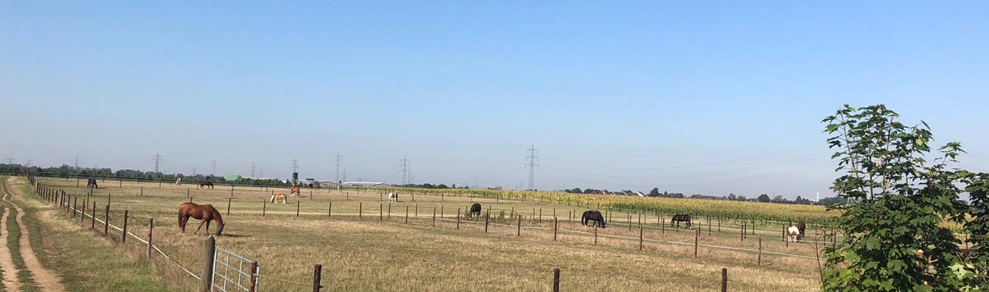 Grenzhof Weiden1420x420