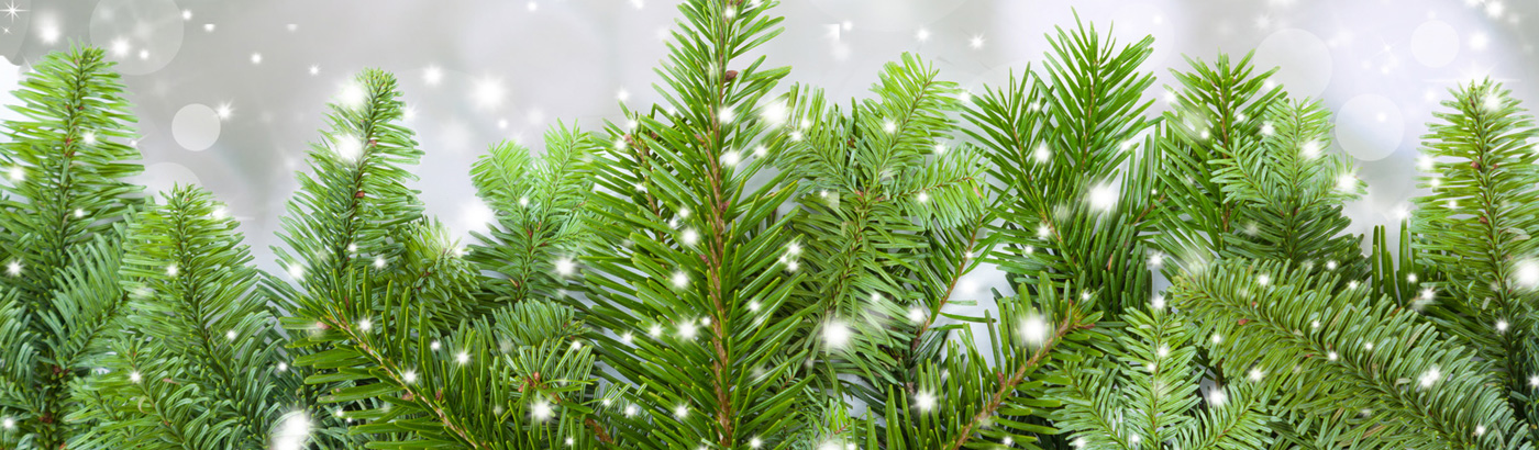 Weihnachtsbaeme1420x420